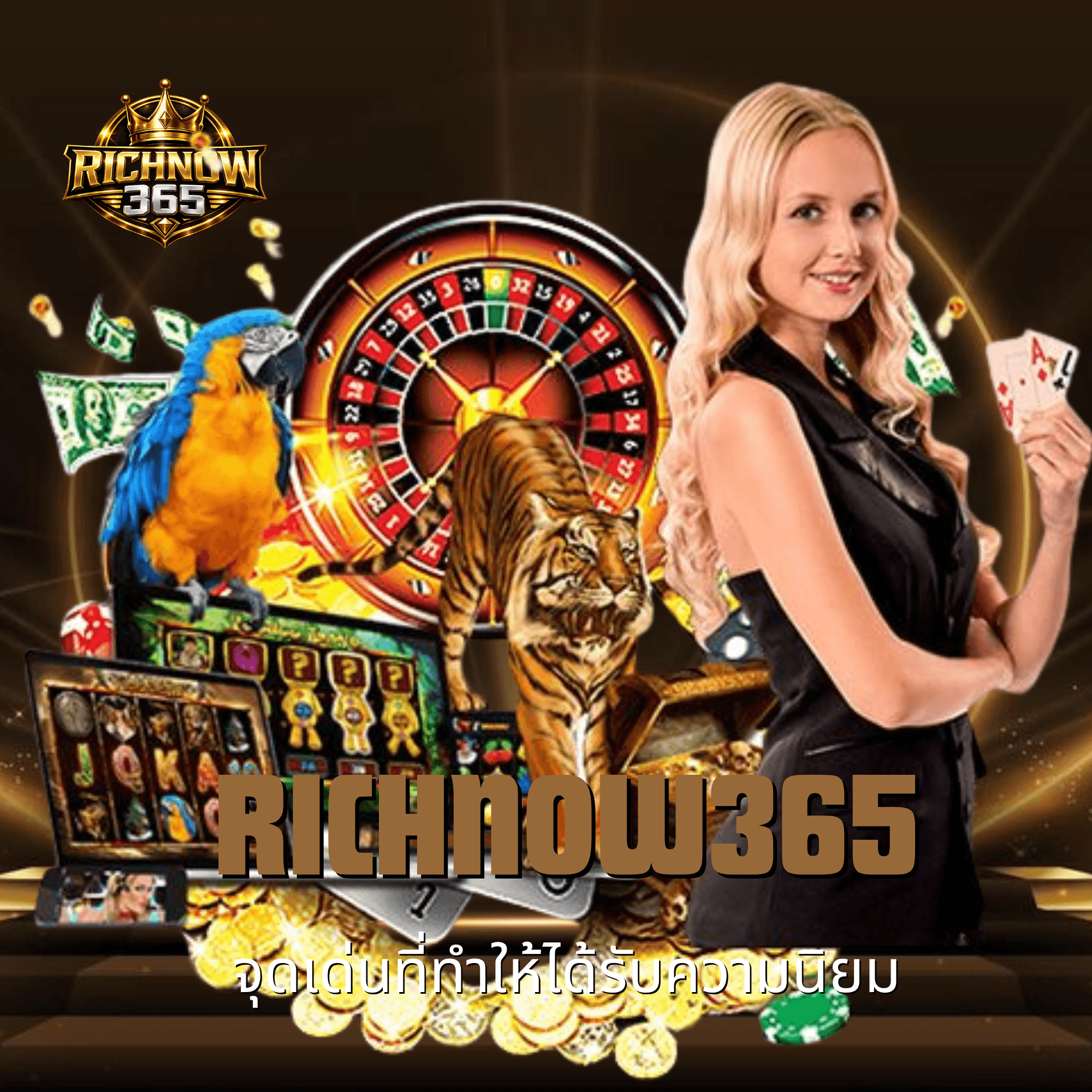 richnow365